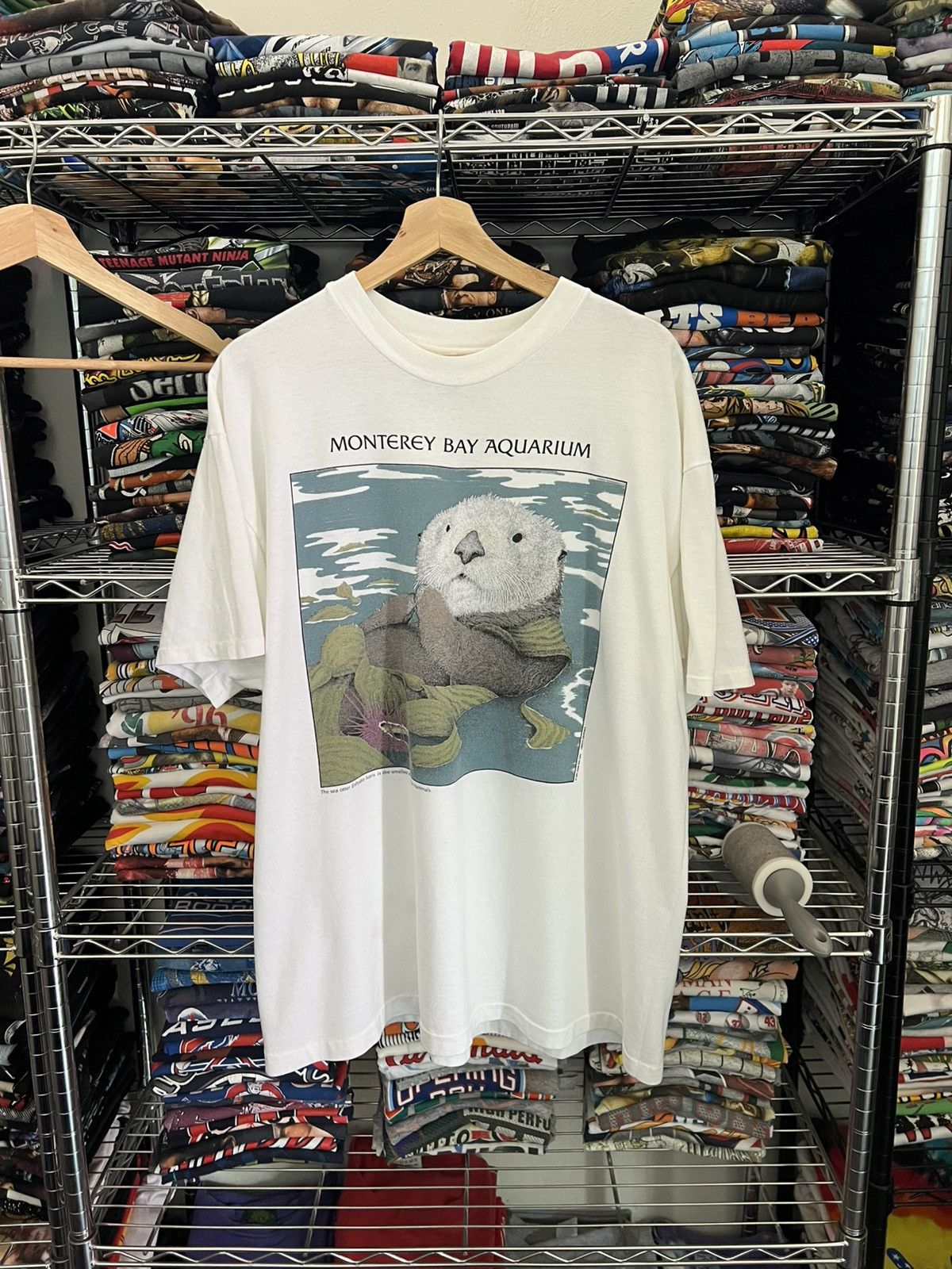 Habitat 1991 Otter Enhydra Lutris Diana Dee Tyler Monterey Bay Size US XL / EU 56 / 4 - 1 Thumbnail