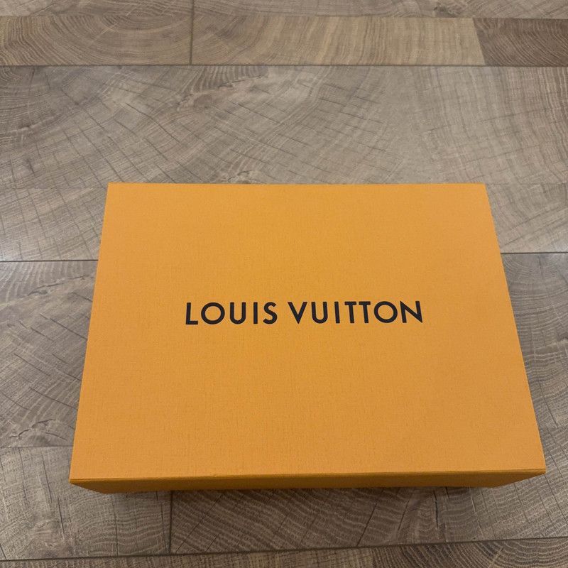 Louis Vuitton Louis Vuitton Tyler Low-Top Trainers in Blue -2508 Size US 9.5 / EU 42-43 - 6 Thumbnail
