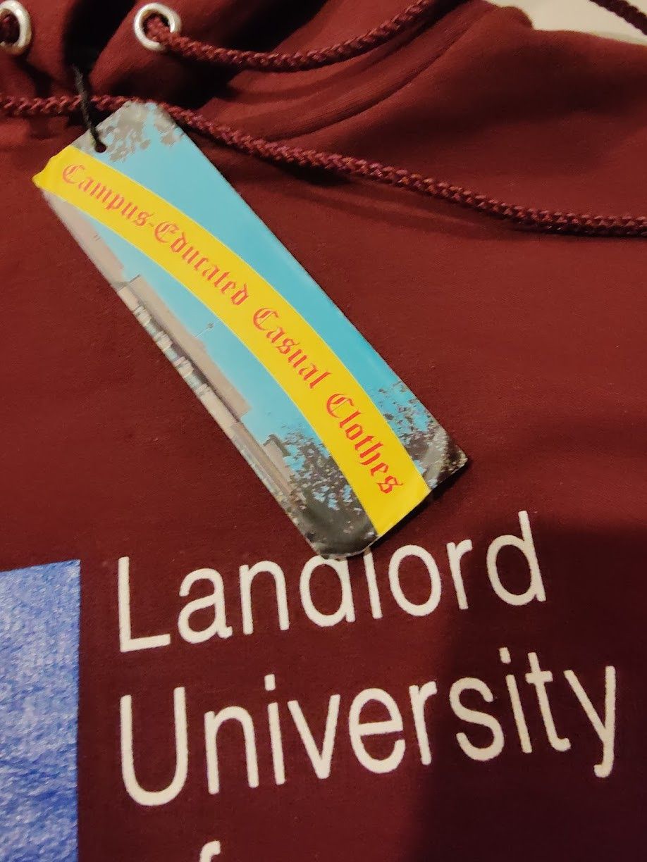 LANDLORD Landlord University of New York (LUNY) Hoodie Size US M / EU 48-50 / 2 - 6 Thumbnail
