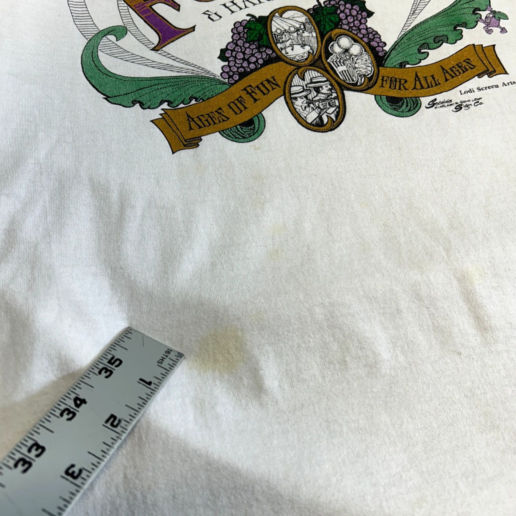 Fruit Of The Loom VINTAGE Fruit of the Loom T-Shirt White XL Lodi Grape Festival California 90s 80s Wine USA Unisex Adults Short Sleeve Crew Neck Graphic Print Cotton Size US XL / EU 56 / 4 - 7 Thumbnail