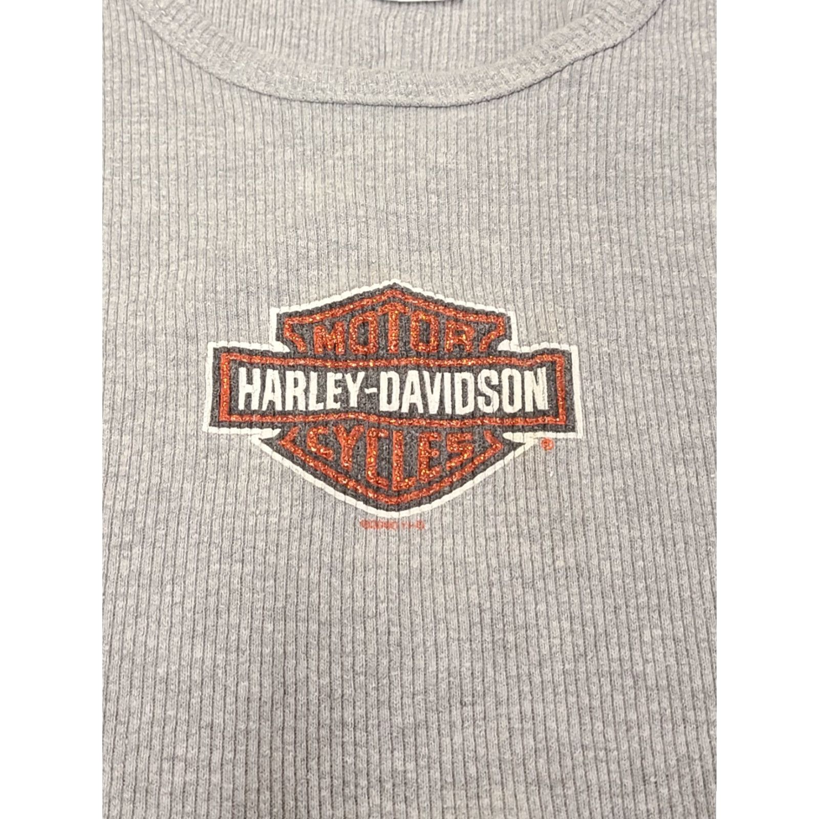 Harley Davidson Harley-Davidson Tank Top Women's 1X Gray Sleeveless Made in USA Shirt Women USA Logo Cotton Knit All Seasons Breathable Regular Shirt Size XL / US 12-14 / IT 48-50 - 2 Thumbnail