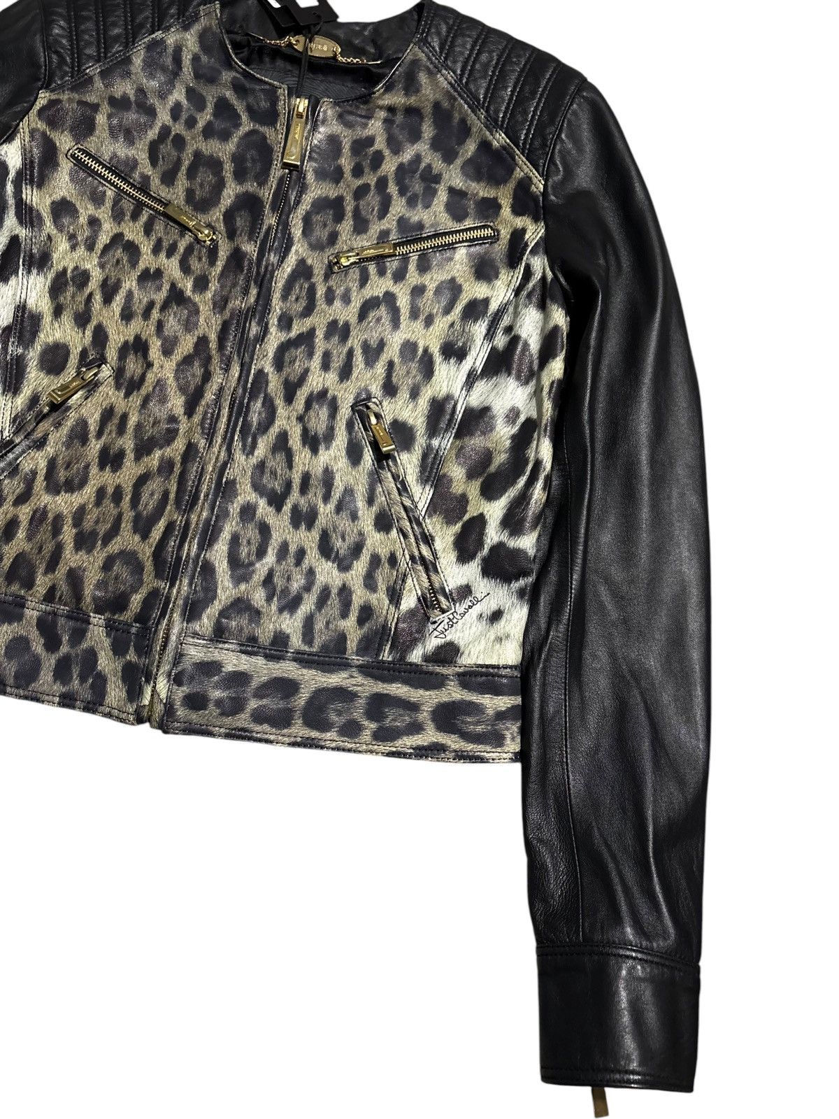 Just Cavalli 2014 Just Cavalli Leopard Print Leather Jacket moto 5 zip Size M / US 6-8 / IT 42-44 - 4 Thumbnail