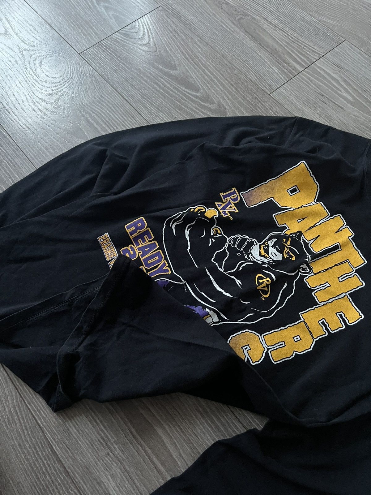 Band Tees × Vintage ‼️Panthers by Anvil Big Logo Print Long Sleeve Size US L / EU 52-54 / 3 - 15 Thumbnail