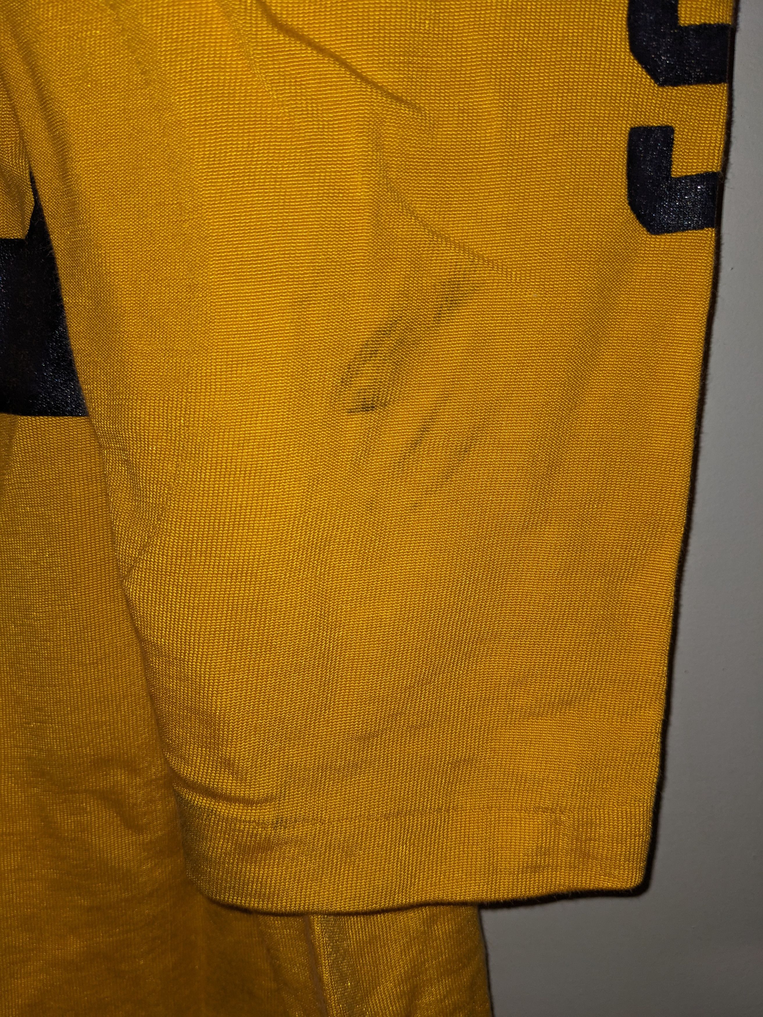 Champion × Vintage Vintage 1979 Seaford High School Champion Long-Sleeve Size US XL / EU 56 / 4 - 14 Thumbnail