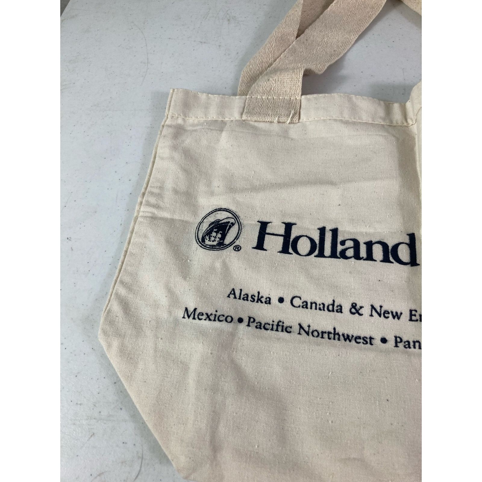 Other Vintage Tote Bag Holland America Travel Line Carry Adult Size ONE SIZE - 5 Thumbnail