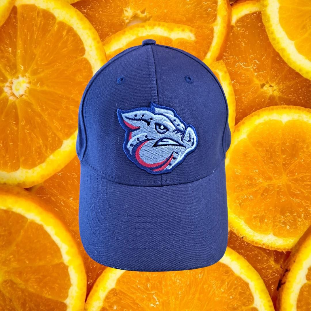 Other Leigh Valley Minor League Ironpigs Bimm Ridder Adjustable H Size ONE SIZE - 1 Thumbnail