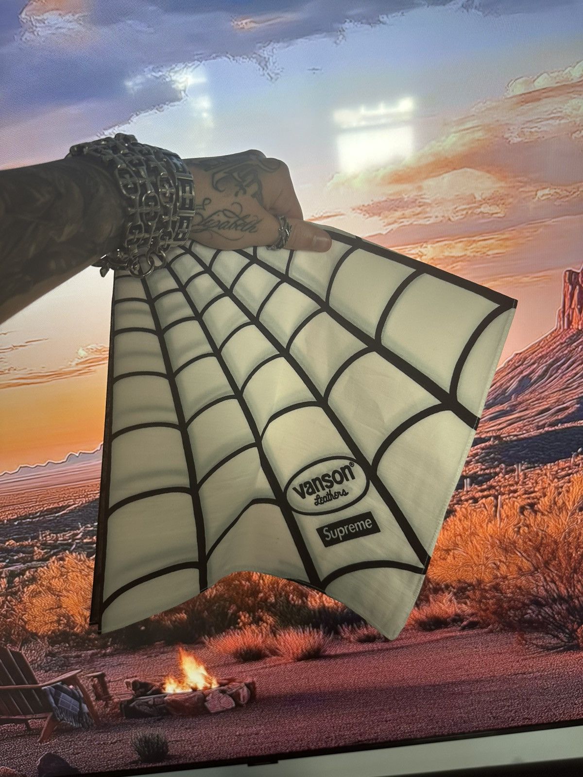 Supreme × Vanson Leathers Supreme®/Vanson Leathers® Spider-Man 