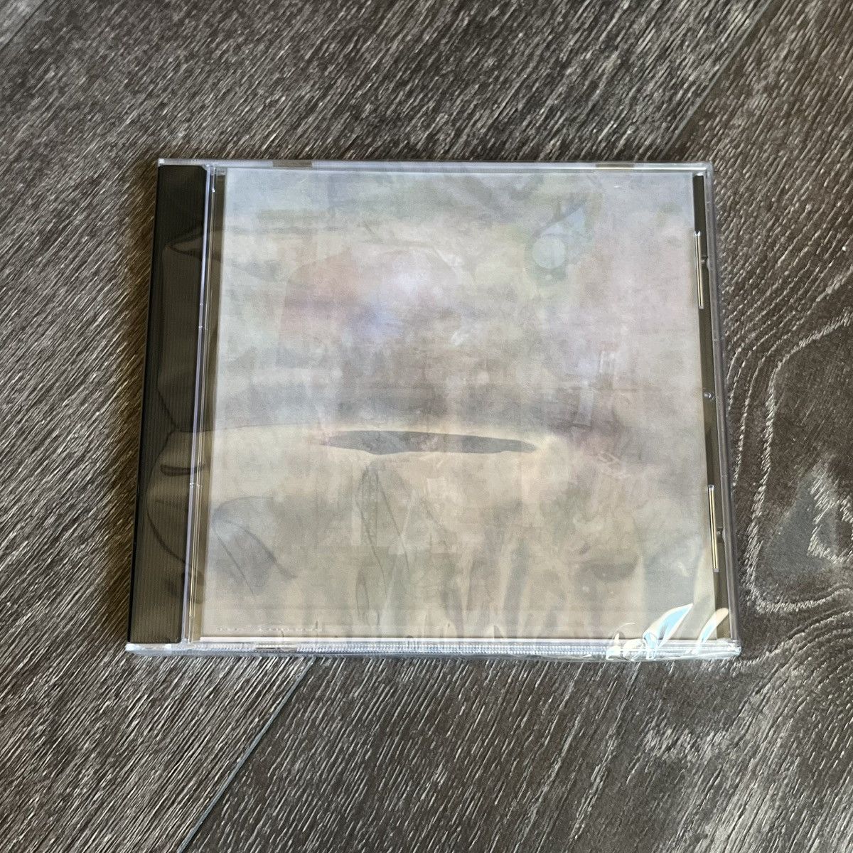 Drain Gang × Sad Boys New Sealed Tek Lintowe - Weird Backwards Path Shed Theory CD Size ONE SIZE - 1 Thumbnail