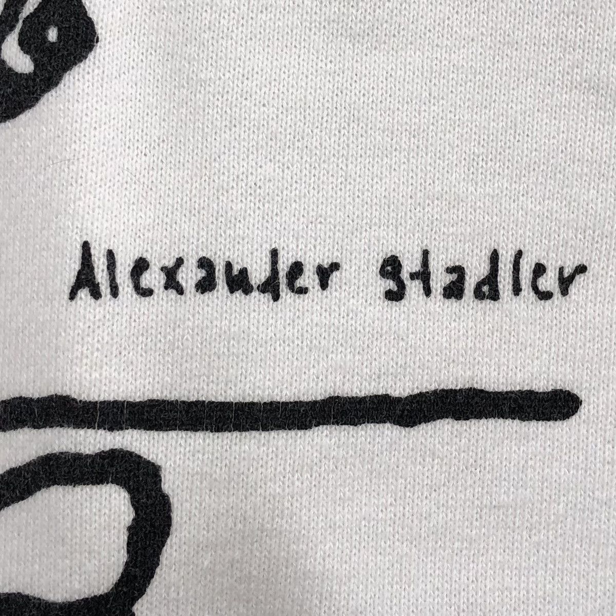 Comme des Garcons Homme Plus AW03 COMME des GARCONS HOMME PLUS x Alexander Stadler Jacket Size US M / EU 48-50 / 2 - 5 Thumbnail