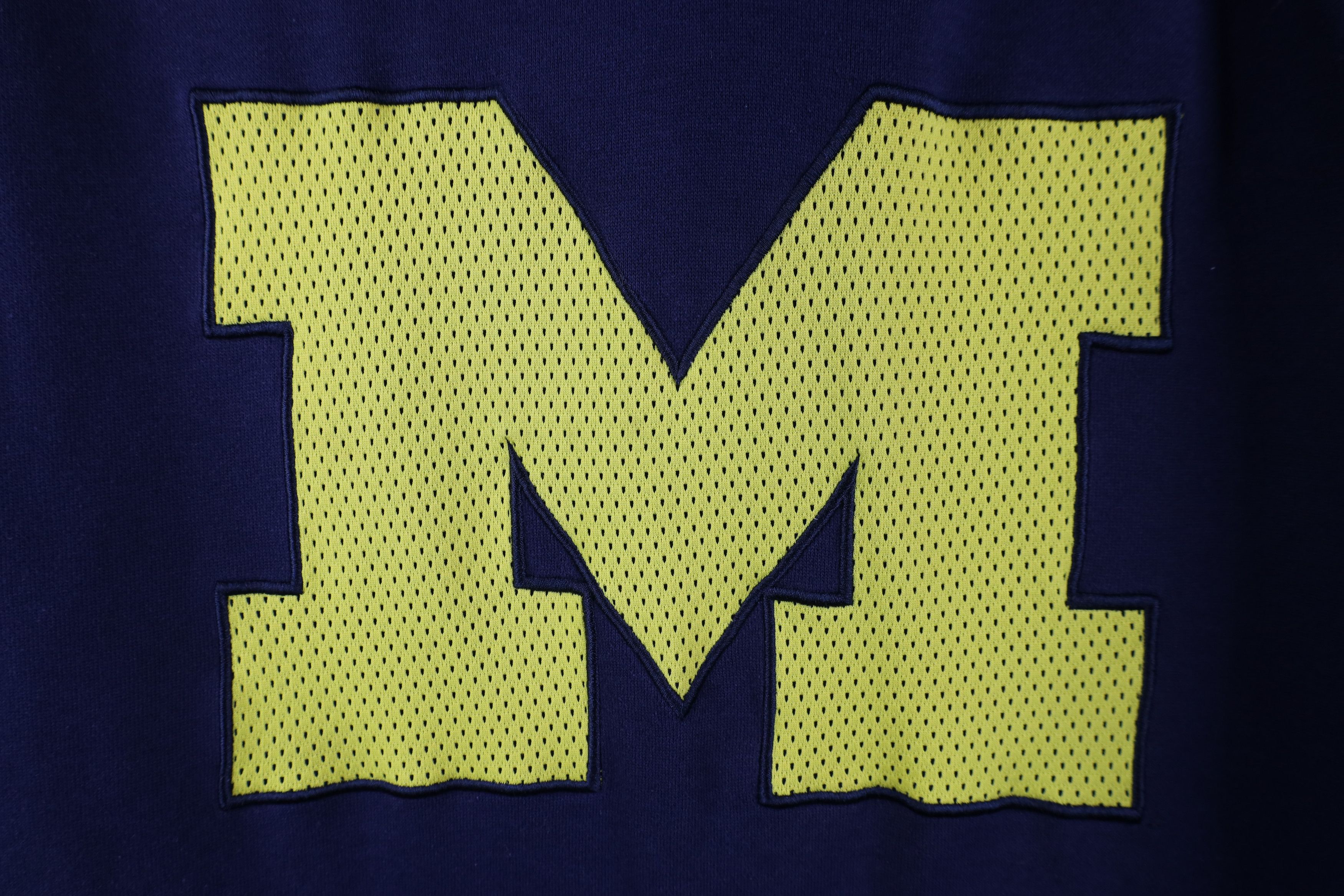 Adidas Vintage Y2K Adidas University of Michigan Hoodie Sweatshirt Size US L / EU 52-54 / 3 - 4 Thumbnail