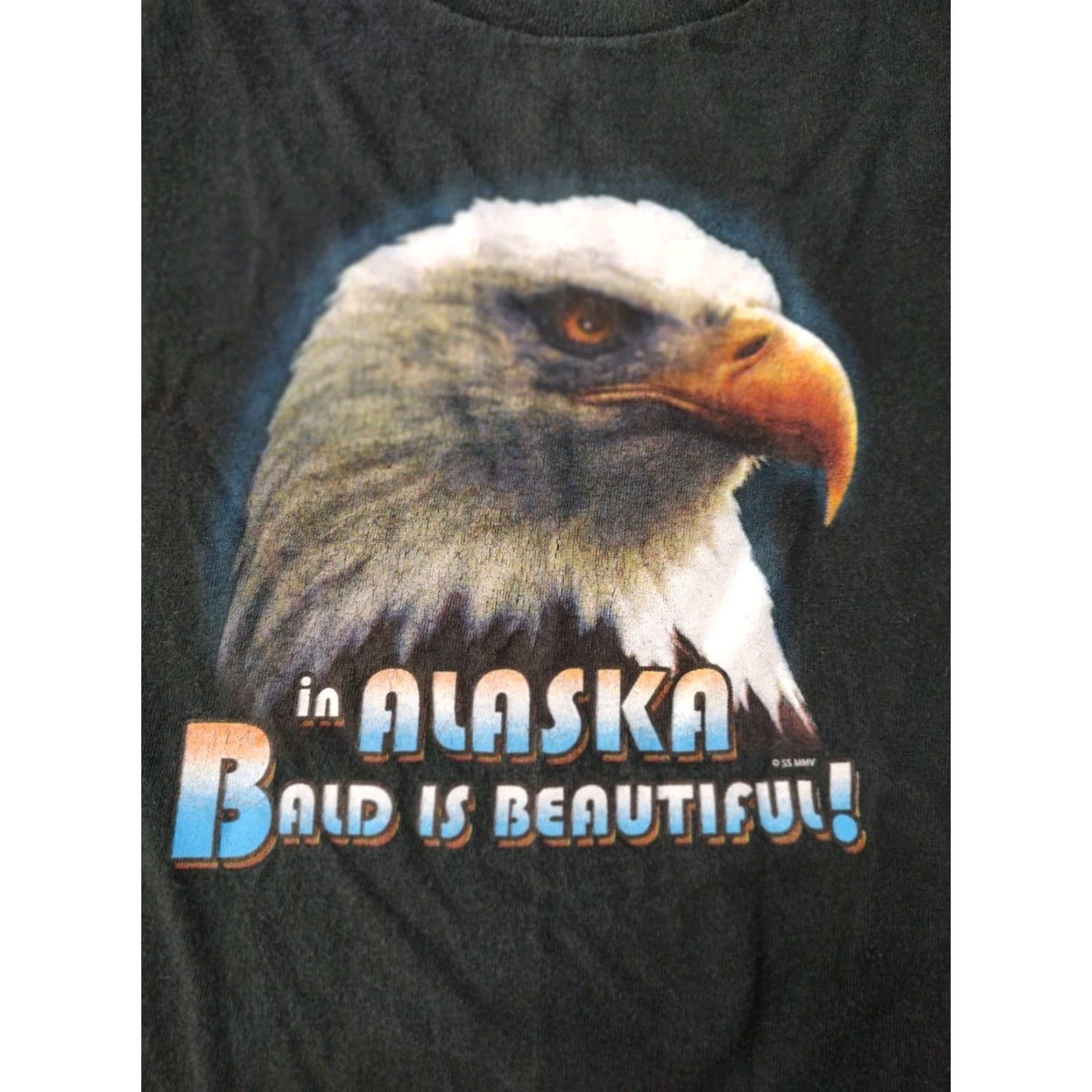 Anvil VINTAGE Bald is Beautiful Alaska T-Shirt M Bald Eagle Tee Black Graphic Print Men 90s Alaska Bald Eagle T-Shirt Mens Size US M / EU 48-50 / 2 - 3 Thumbnail