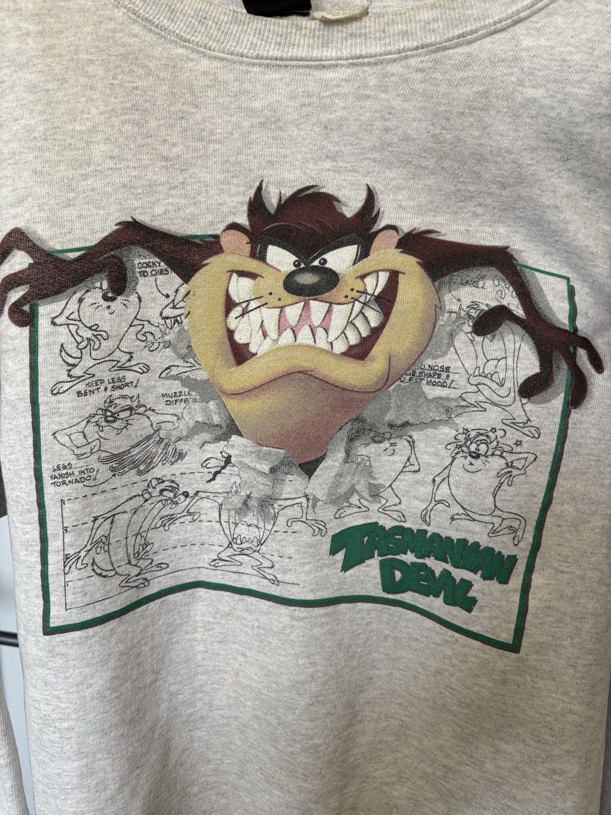 Warner Bros Tasmanian Devil Sweatshirt Size US L / EU 52-54 / 3 - 5 Thumbnail