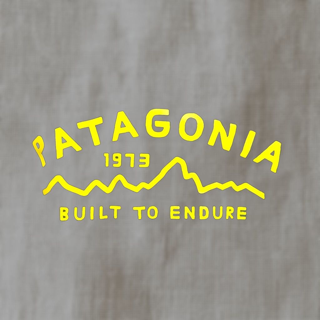 Patagonia Patagonia Hoodie Sweatshirt Green Long Sleeve Women’s M Medium Pullover Activewear Winter Fall Spring Regular Shirt Size M / US 6-8 / IT 42-44 - 1 Thumbnail