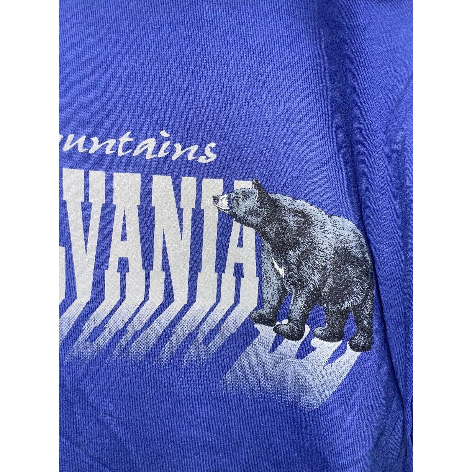 Anvil Vintage Pocono Mountains Long Sleeve Shirt Bear Tee 90s L Size US L / EU 52-54 / 3 - 2 Thumbnail