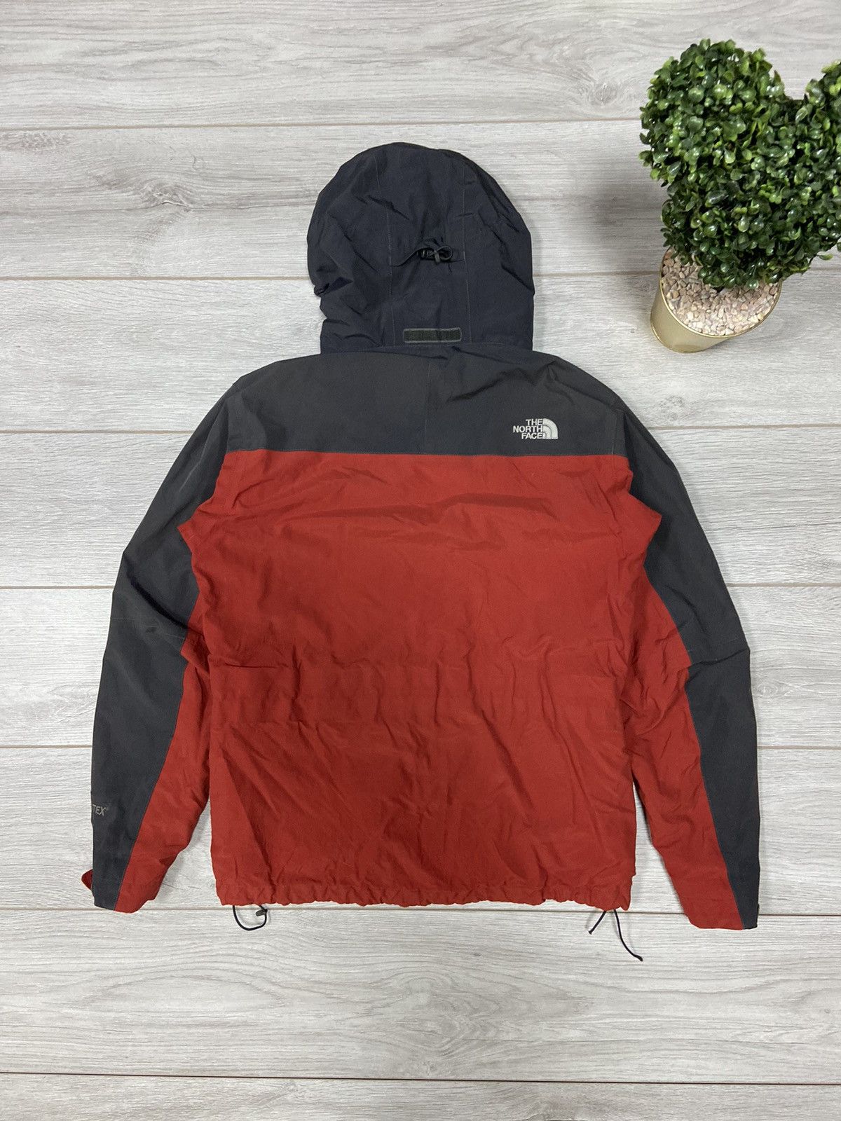 The North Face The North Face Gore Tex gorpcore Arcteryx style jacket Size US M / EU 48-50 / 2 - 6 Thumbnail