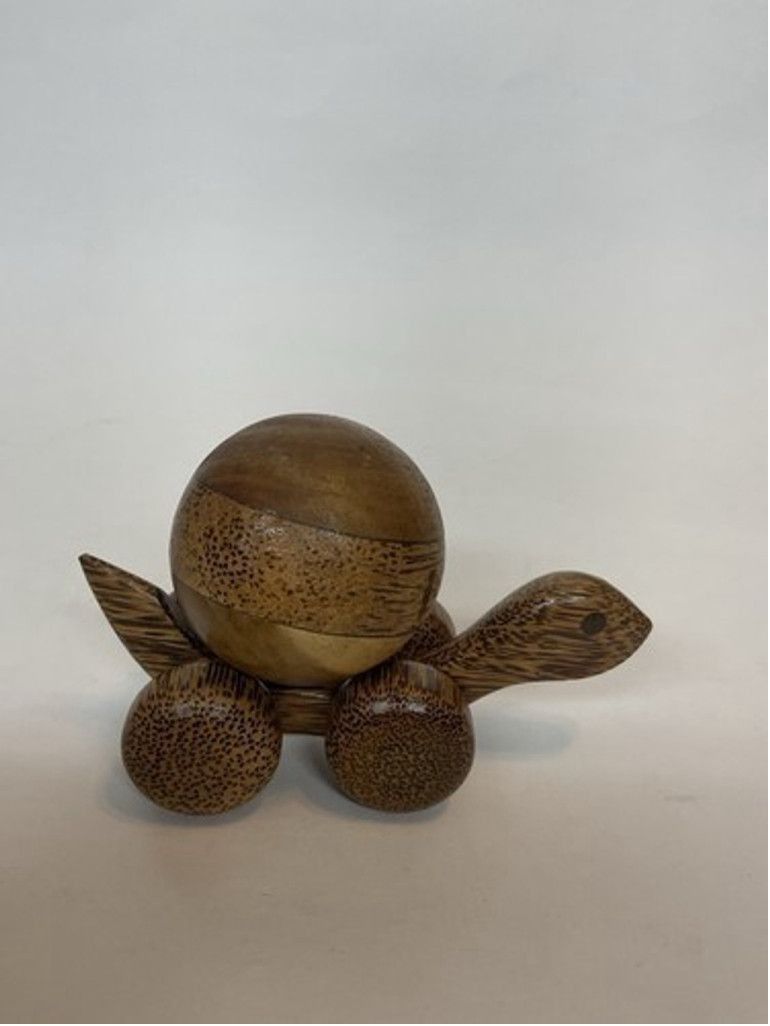 Other Turtle Push Toy Educational Toyon Wheels Rolling BallOn Top Size ONE SIZE - 12 Thumbnail
