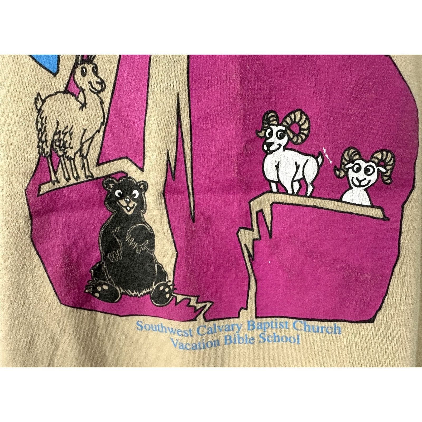 Hanes VINTAGE 90s Bible School Shirt Adult Large Jesus Nature Animals Hiking Brown Size US L / EU 52-54 / 3 - 6 Thumbnail