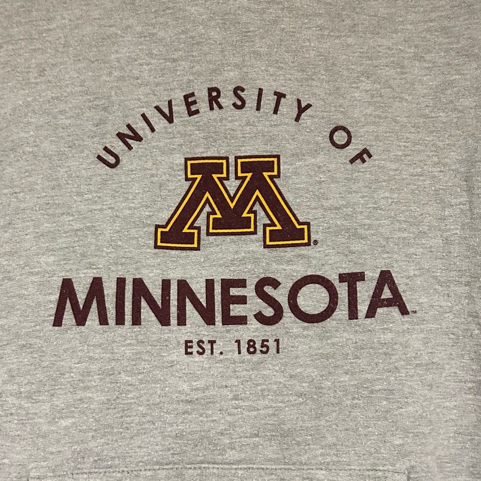 Champion Champion University Of Minnesota Golden Gophers Hoodie Size L / US 10 / IT 46 - 2 Thumbnail
