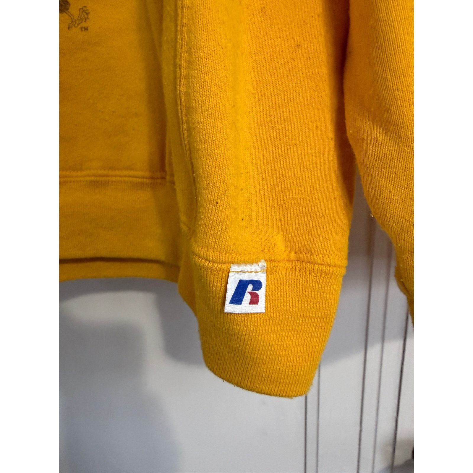 Russell Athletic Ashland University Eagles Stitched Hoodie Sweatshirt Size XL Size US XL / EU 56 / 4 - 4 Thumbnail