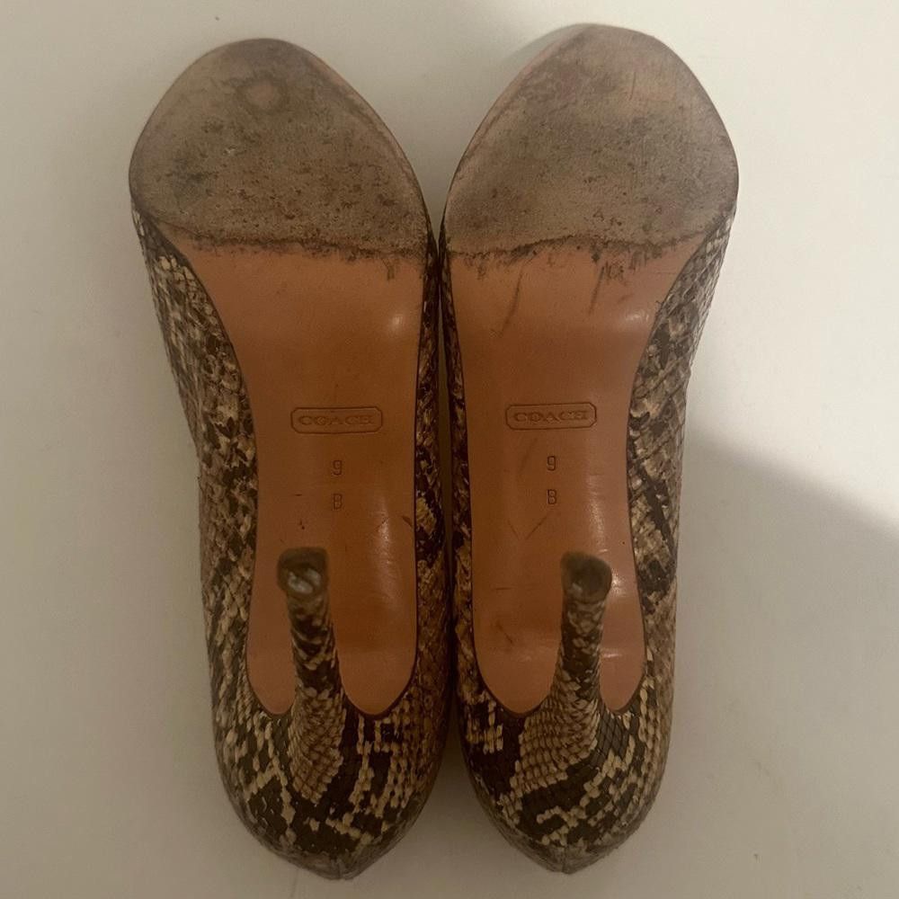 Coach COACH Chelsey Snake-Embossed Leather Round Toe Pumps Heels 9 Size US 9 / IT 39 - 7 Thumbnail