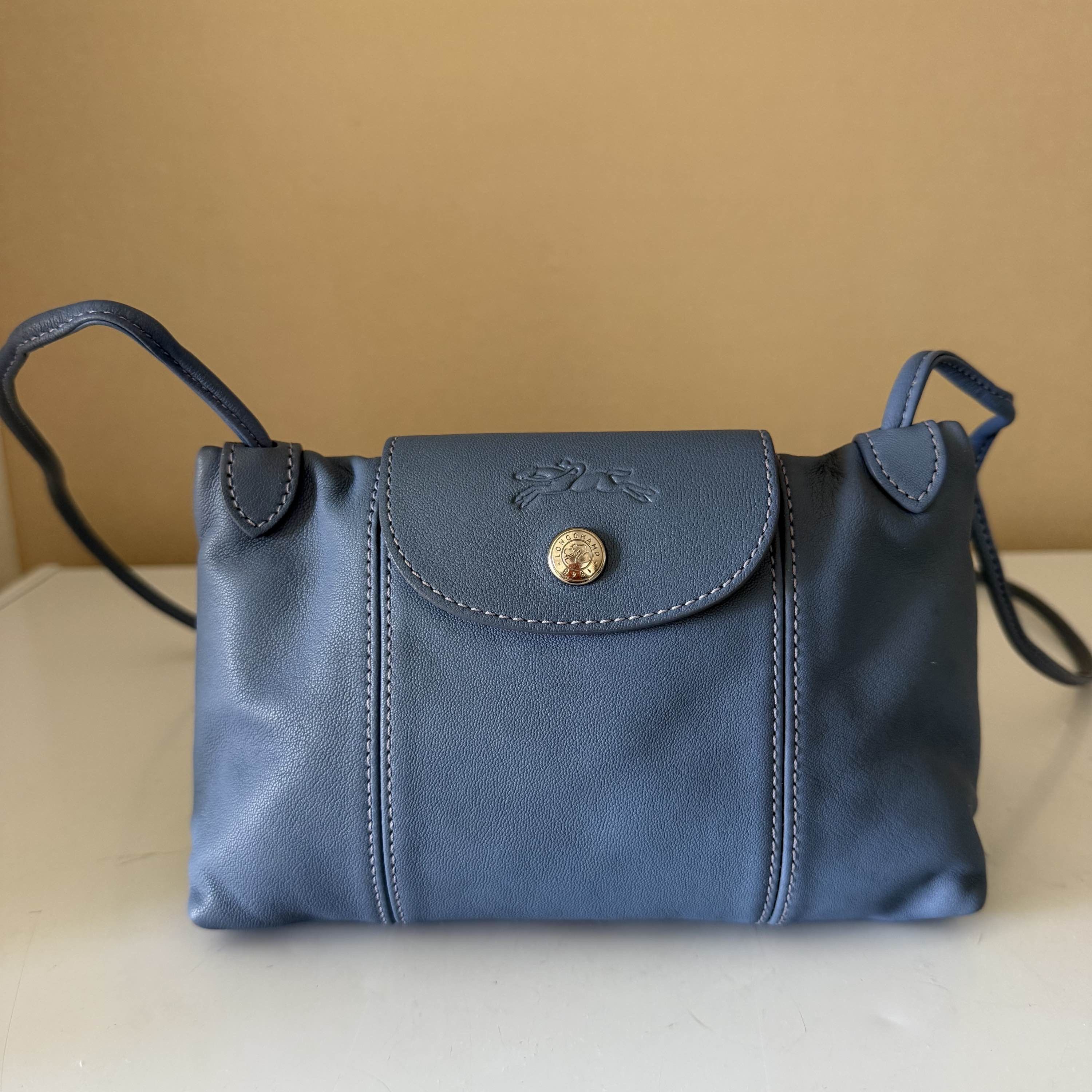 Longchamp Longchamp Le Pliage Cuir Leather Crossbody Bag Size OS Size ONE SIZE - 1 Thumbnail