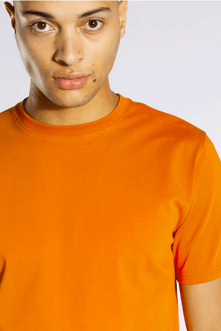 Norse Projects Niels Standard ss tee Size US XL / EU 56 / 4 - 4 Thumbnail