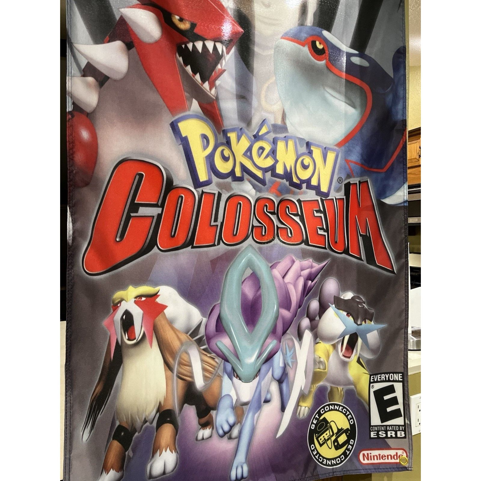 Nintendo Pokémon Colosseum 5ft Flag Banner Nintendo GameCube 2004 Size ONE SIZE - 2 Thumbnail