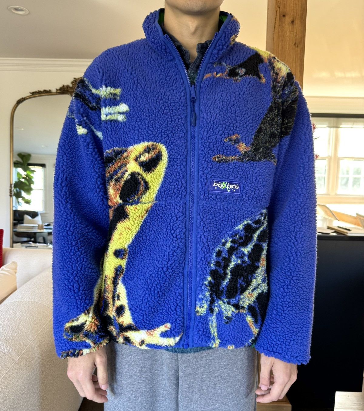 Palace Palace Frogger Reversible Fleece Jacket Blue Medium FW25 