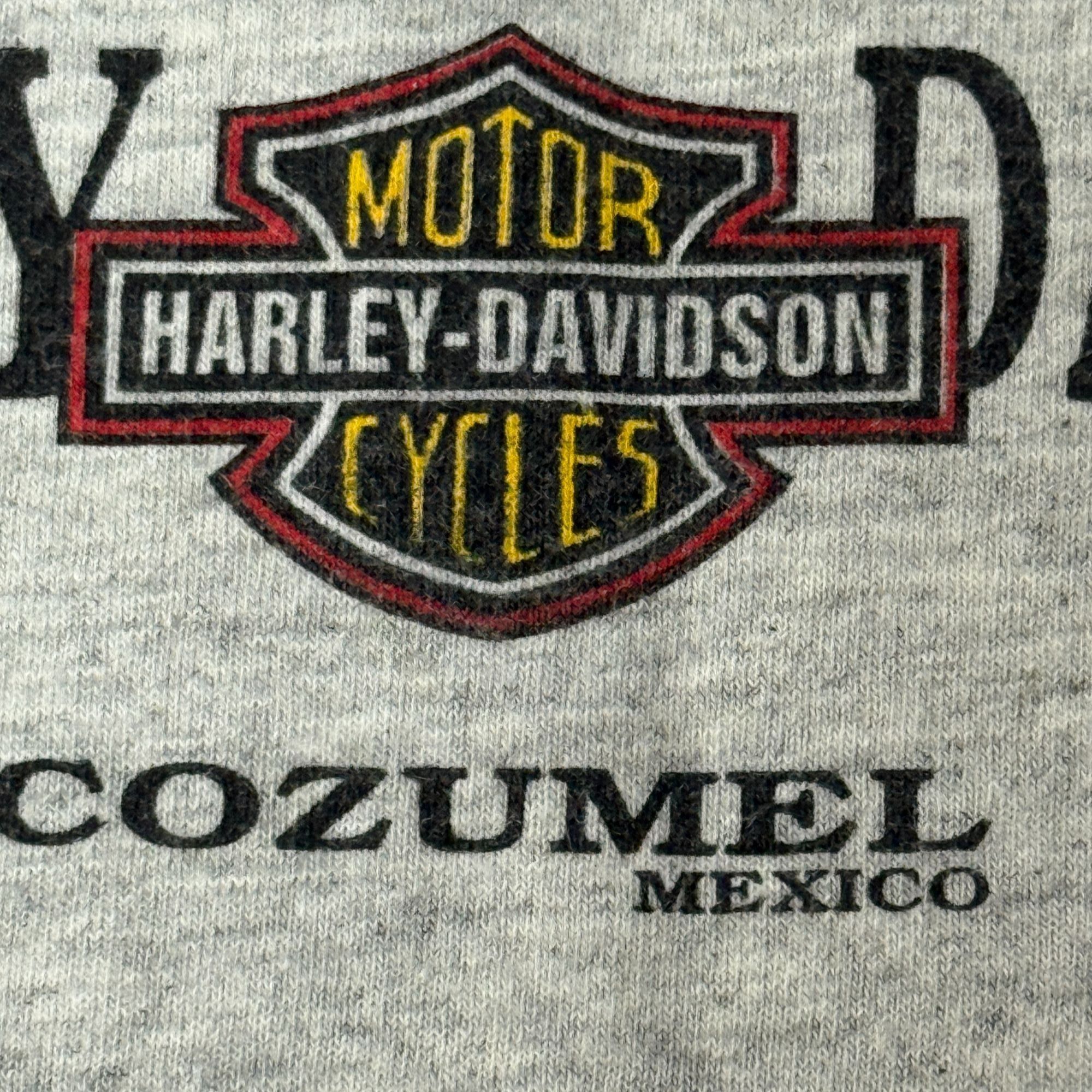 Other 90's Harley Davidson Motorcycle SOARING EAGLE Biker Tank Top Size US XXL / EU 58 / 5 - 6 Thumbnail