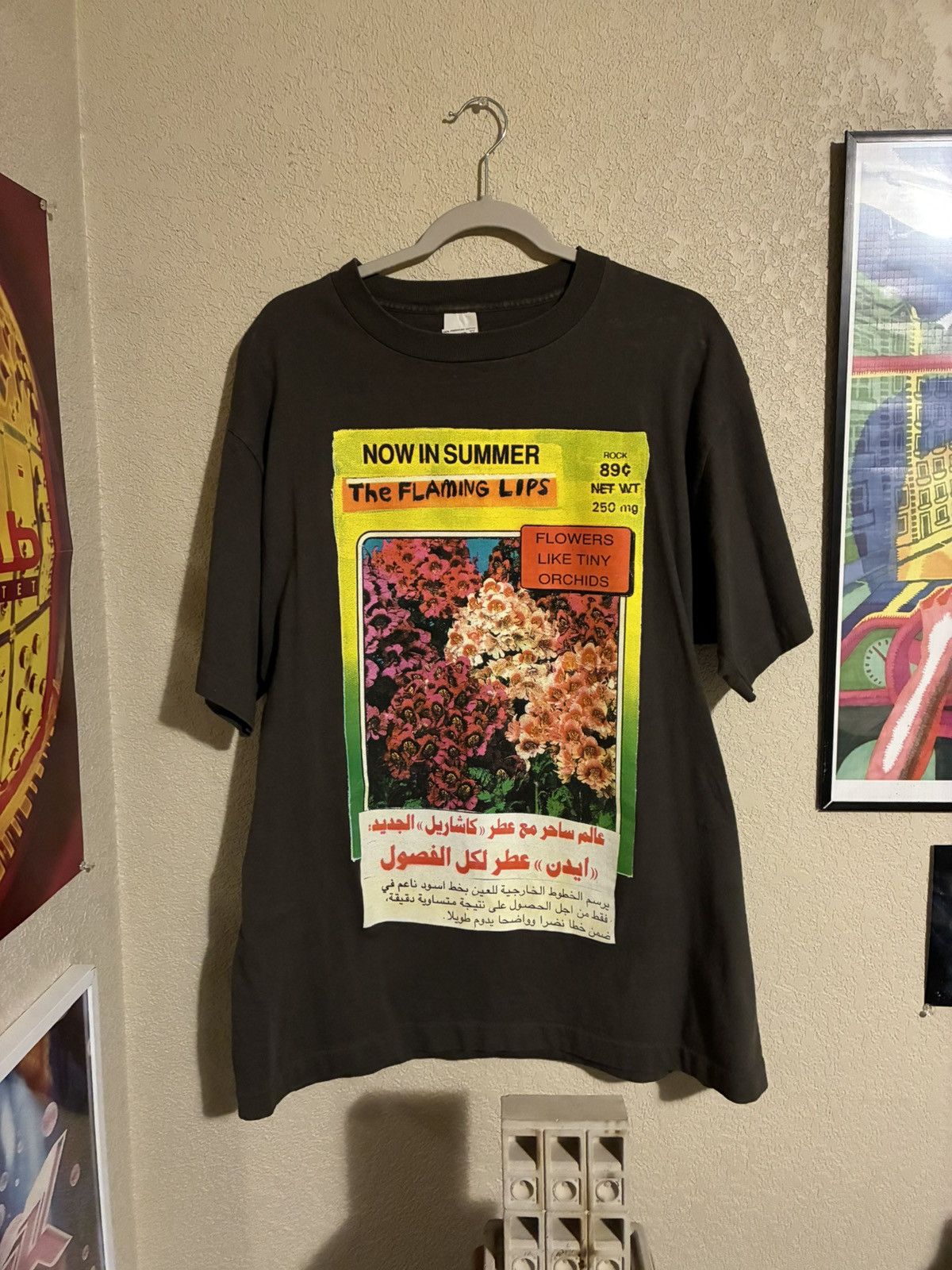 Vintage Vintage Flaming Lips “Now in summer” t-shirt Size US XL / EU 56 / 4 - 1 Thumbnail
