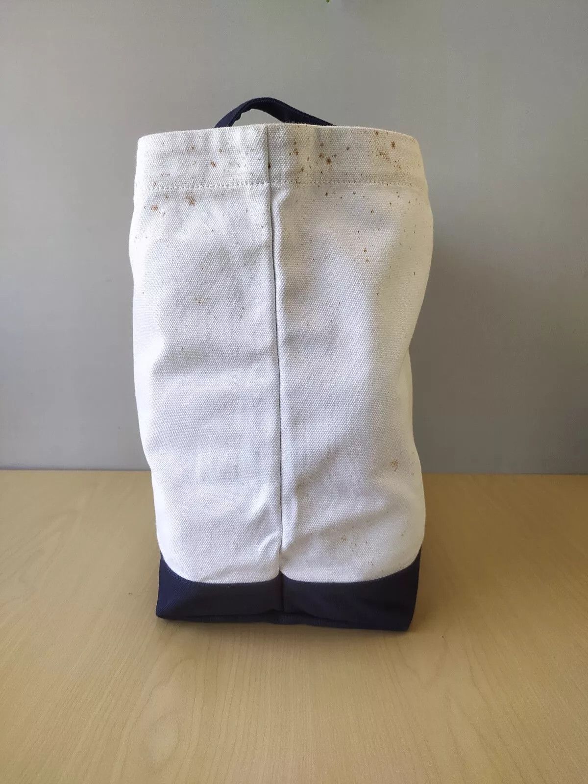 Polo Ralph Lauren Polo Ralph Lauren Polo Bear canvas tote bag IFD 8049 Size ONE SIZE - 7 Thumbnail