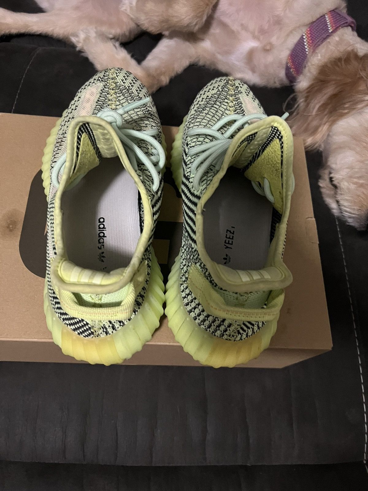 Yeezy Yeezy Boost 350 V2 Size US 9 / EU 42 - 5 Thumbnail