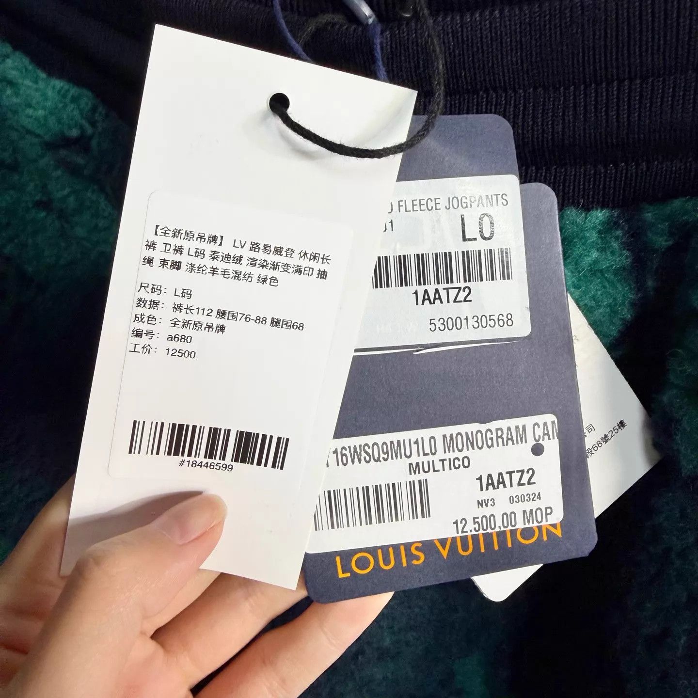 Louis Vuitton LV Teddy Fleece Gradient Print Sweatpants Green L Size US 34 / EU 50 - 5 Thumbnail