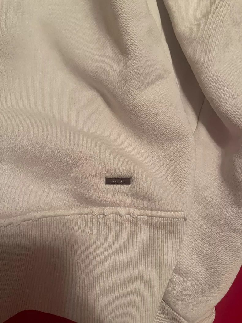 Amiri AMIRI Cashew flower destroys sweatshirt 2501-Nextarrow Size US S / EU 44-46 / 1 - 5 Thumbnail
