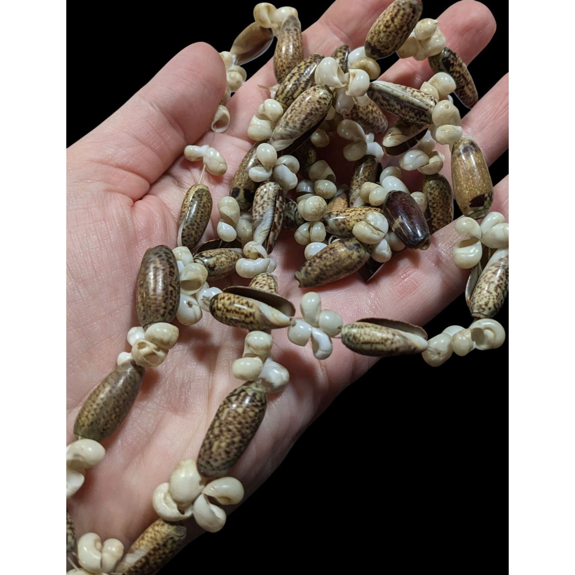 Other Beachy Mermaidcore Tan And Cream Multi Shell Necklace Size ONE SIZE - 3 Thumbnail