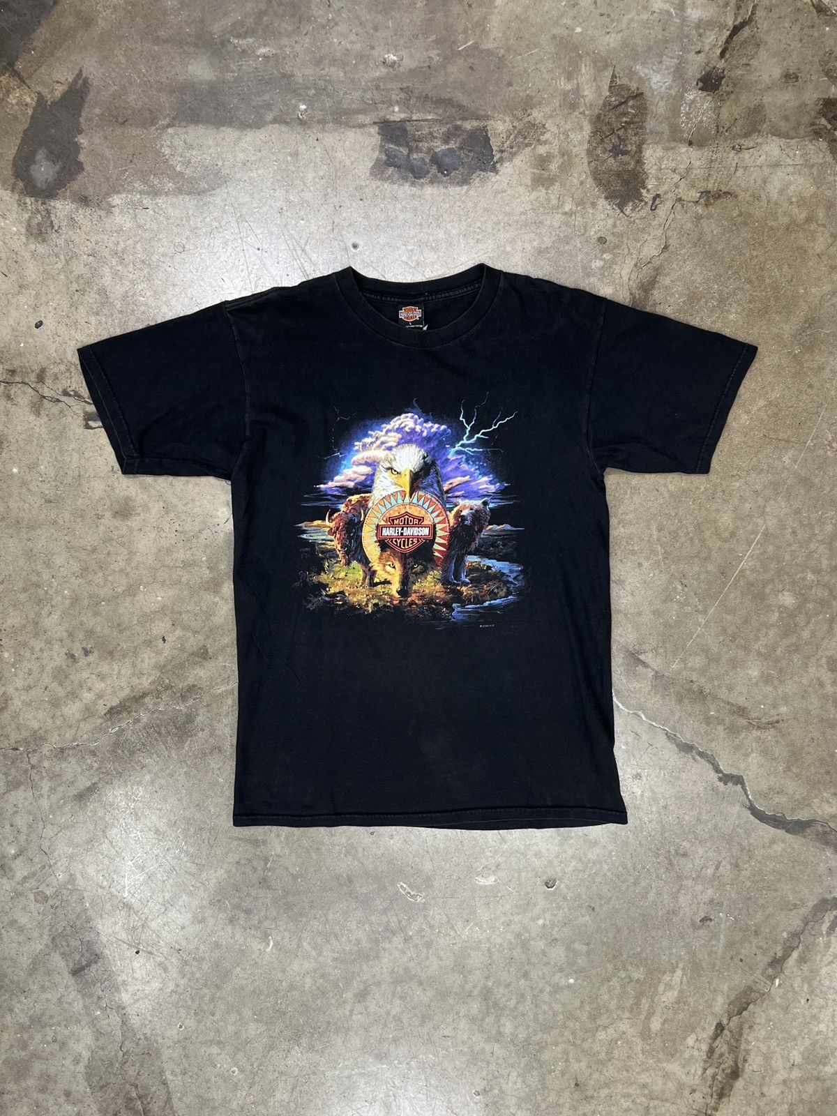 Harley Davidson Vintage 2000 Harley Davidson Nature Wisconsin Tee Large Size US L / EU 52-54 / 3 - 2 Thumbnail
