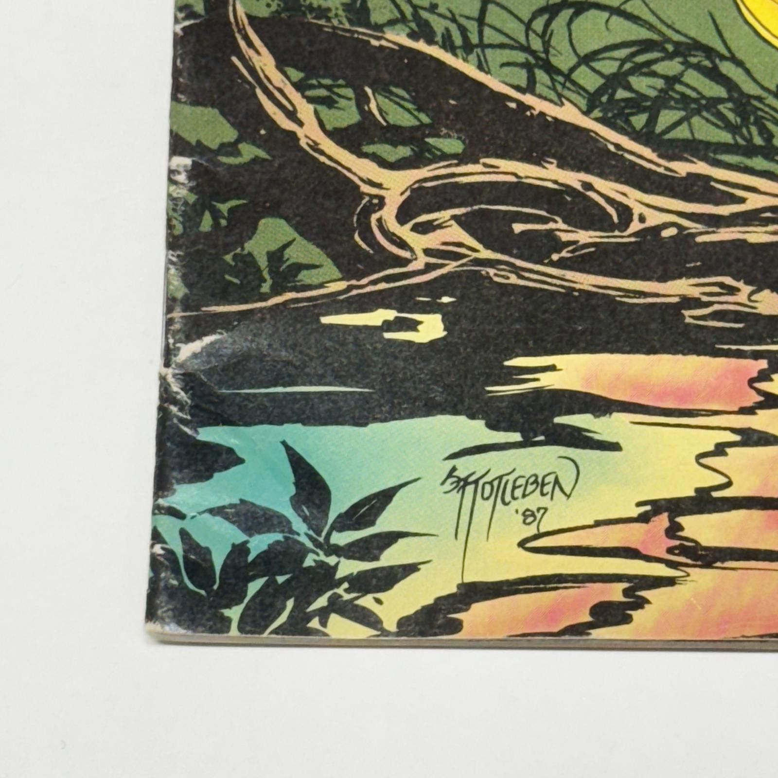 DC Comics Vtg 1988 DC Comics Swamp Thing #68 Veitch & Alcala NM Size ONE SIZE - 5 Thumbnail
