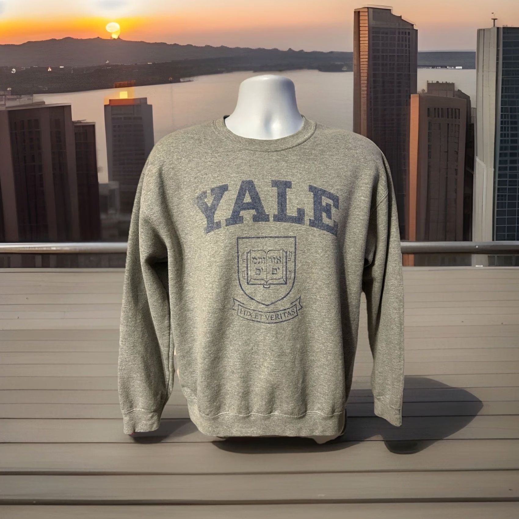 Spell Yale University Pullover Sweatshirt M Gray Logo Front Spell out 2000s Yale University Yale Sports Ivy League Mens Womens Unisex Adults Regular Size M Size US M / EU 48-50 / 2 - 4 Thumbnail