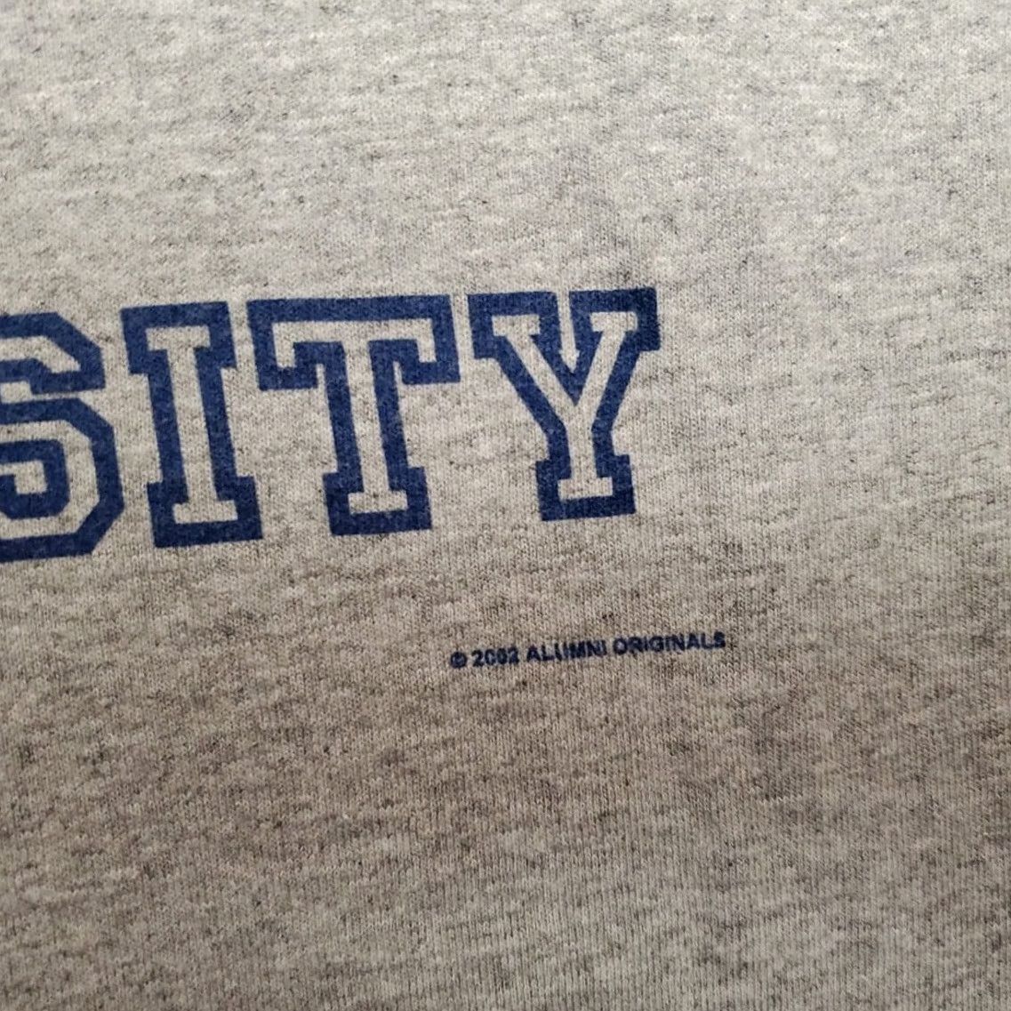 Gildan VINTAGE Herbst University Shirt Mens Large Gray Fictional College Skate Y2K TEE Size US L / EU 52-54 / 3 - 4 Thumbnail