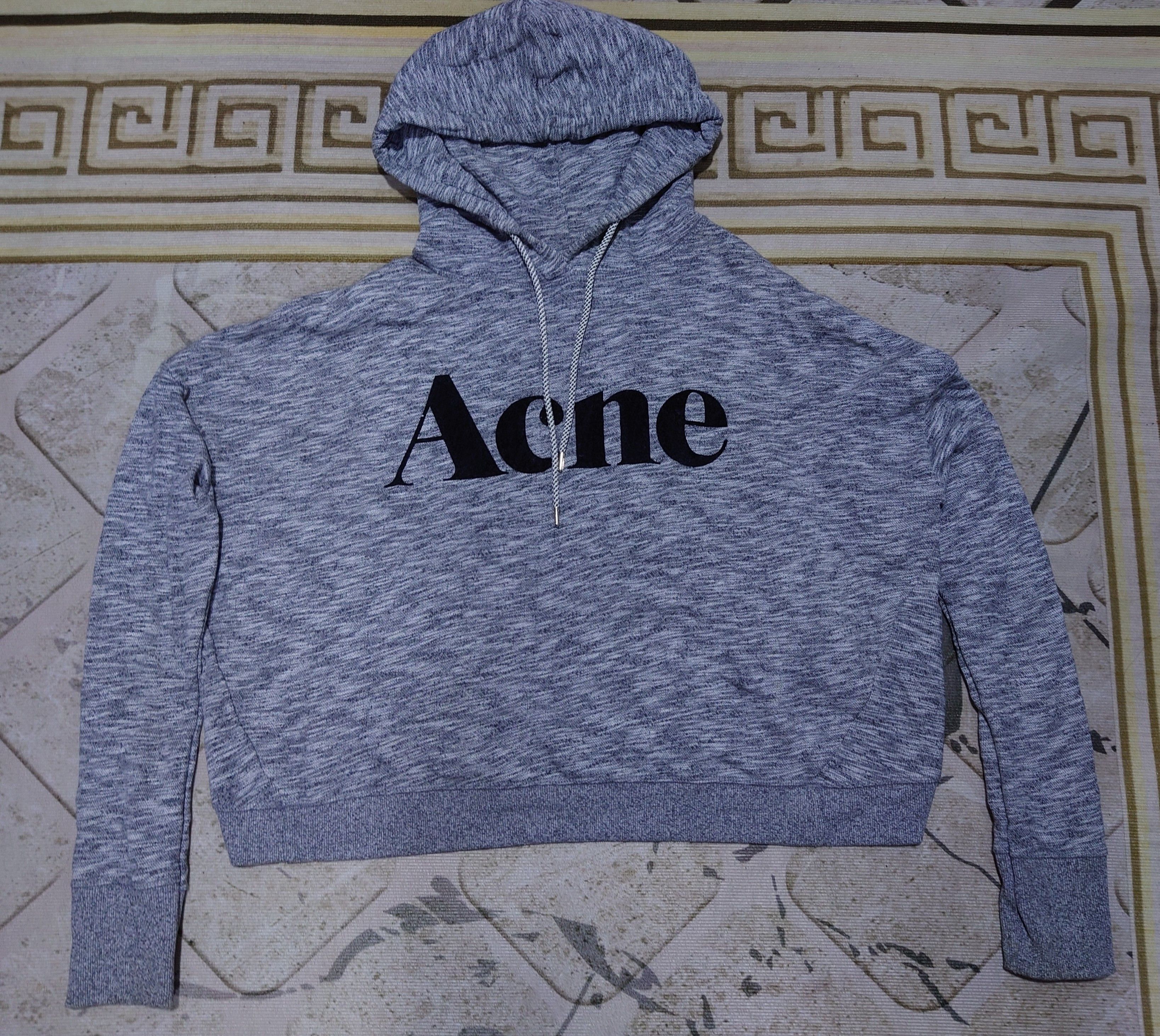 Acne Studios Acne Studios Gray Joghy Cropped Logo Hoodie Size L / US 10 / IT 46 - 1 Thumbnail