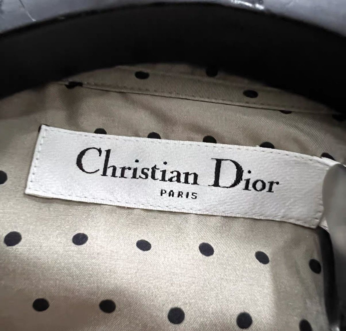 Dior Dior Polka Dot All-over Print Bee Embroidered Shirt J41 Size XS / US 0-2 / IT 36-38 - 4 Thumbnail