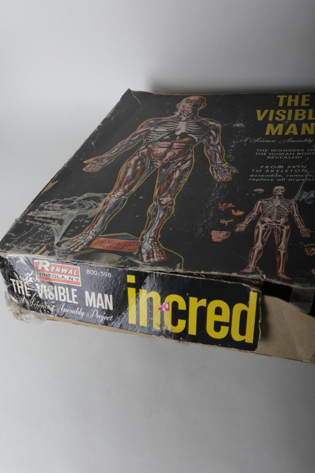 Urban Renewal 60's Renwal The Invisible Man Anatomy Model Kit Size ONE SIZE - 2 Thumbnail