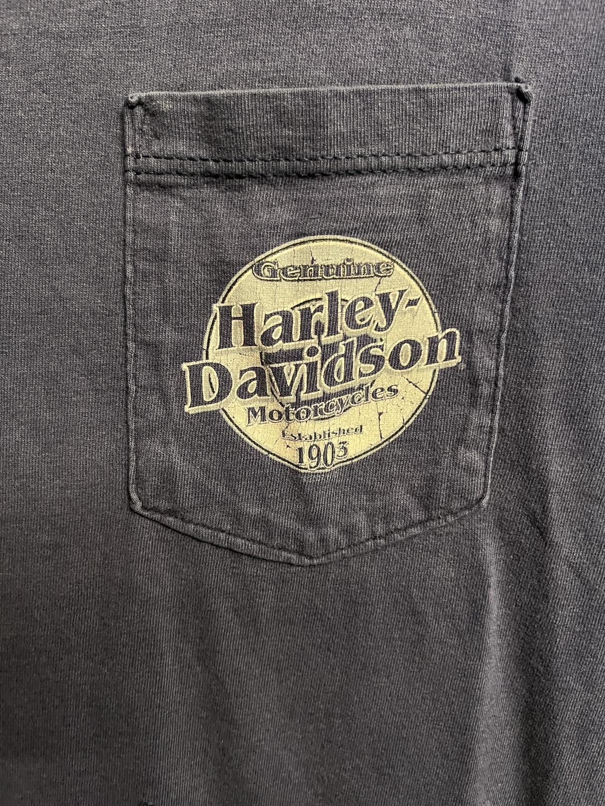 Harley Davidson Faded Harley Davidson Pocket Tee Aces Fire Dice - XL Size US XL / EU 56 / 4 - 4 Thumbnail