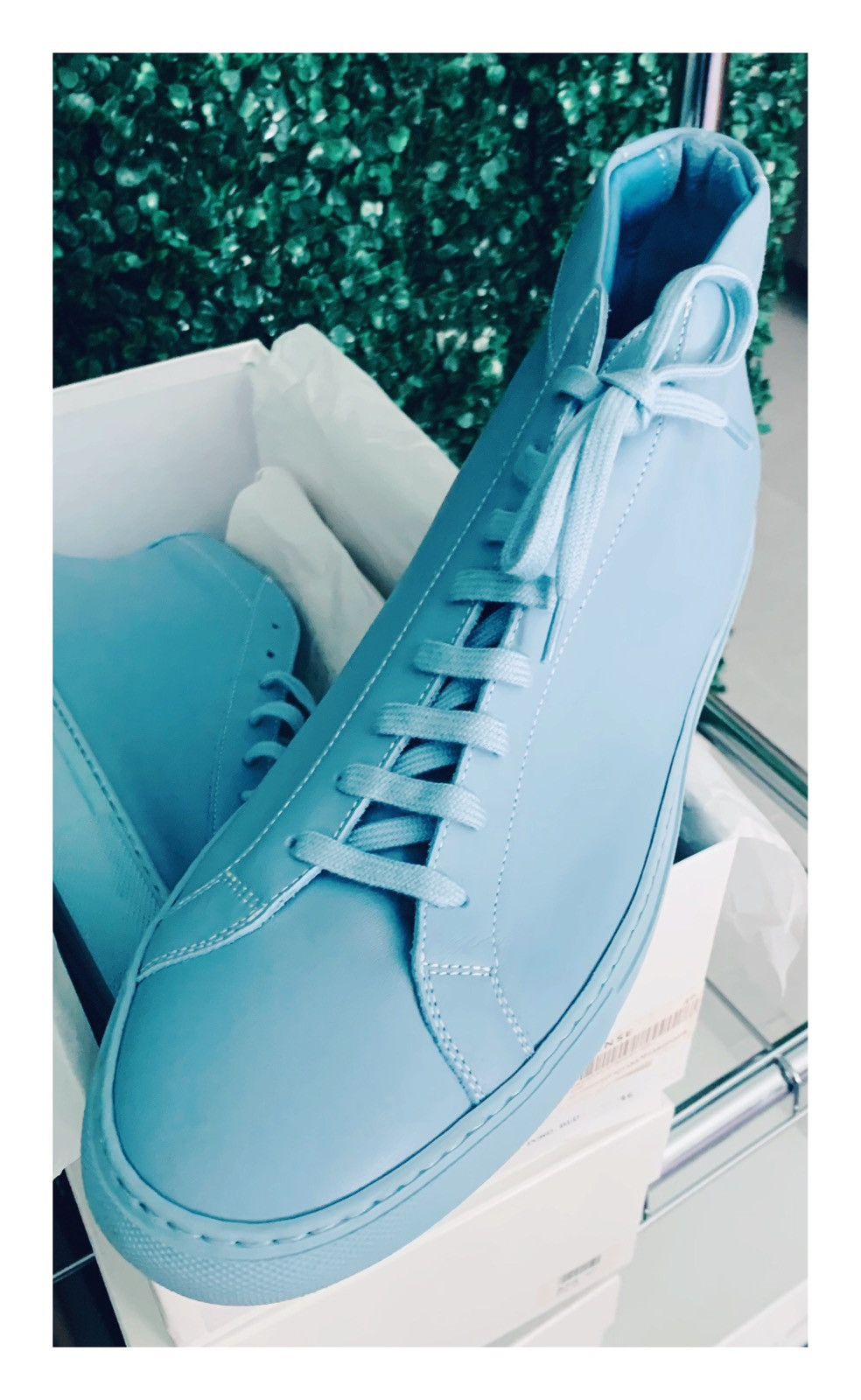 Common projects powder blue online