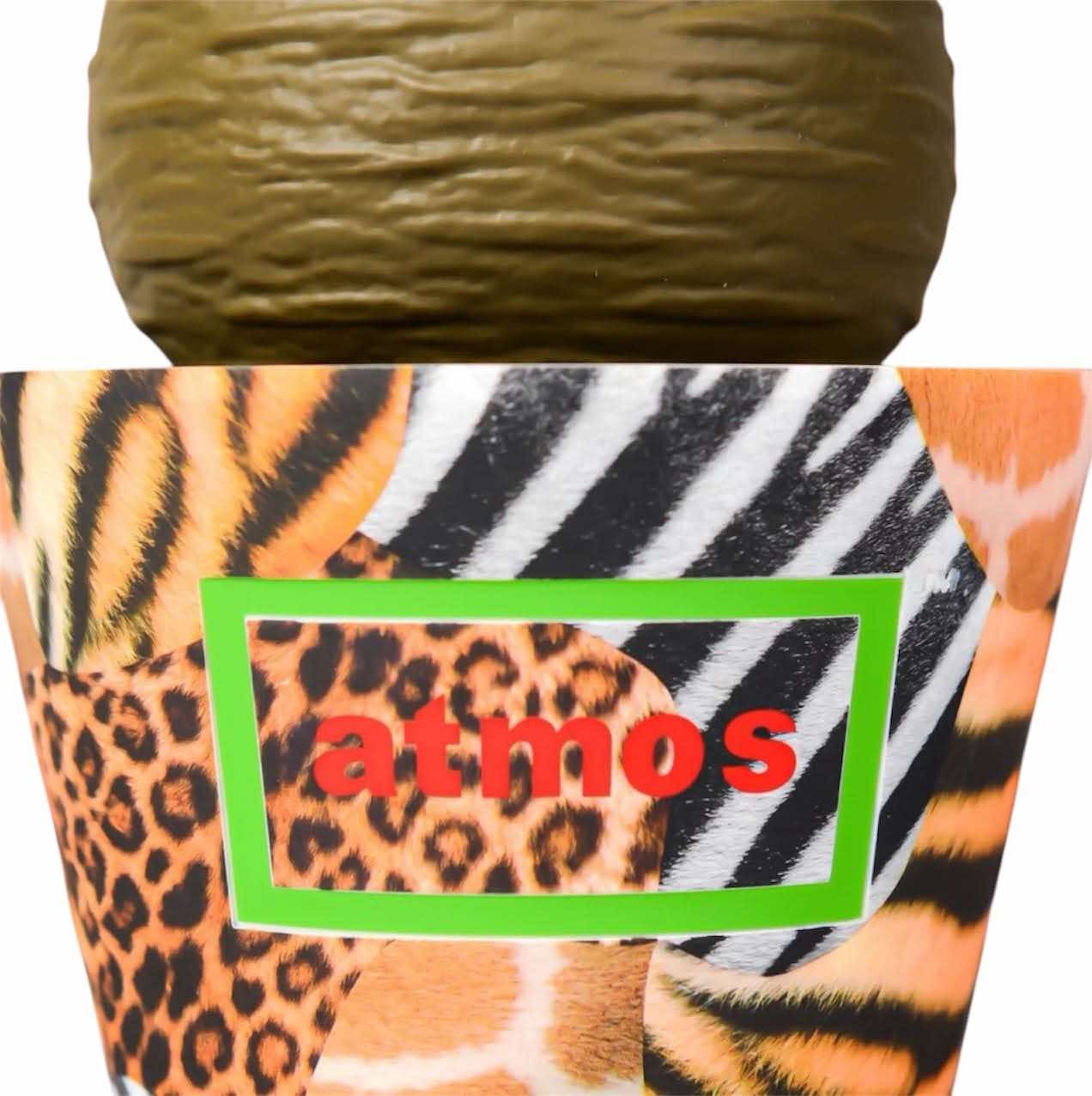 MEDICOM TOY × ATMOS × BOTANIZE Pachypodium Gracilius