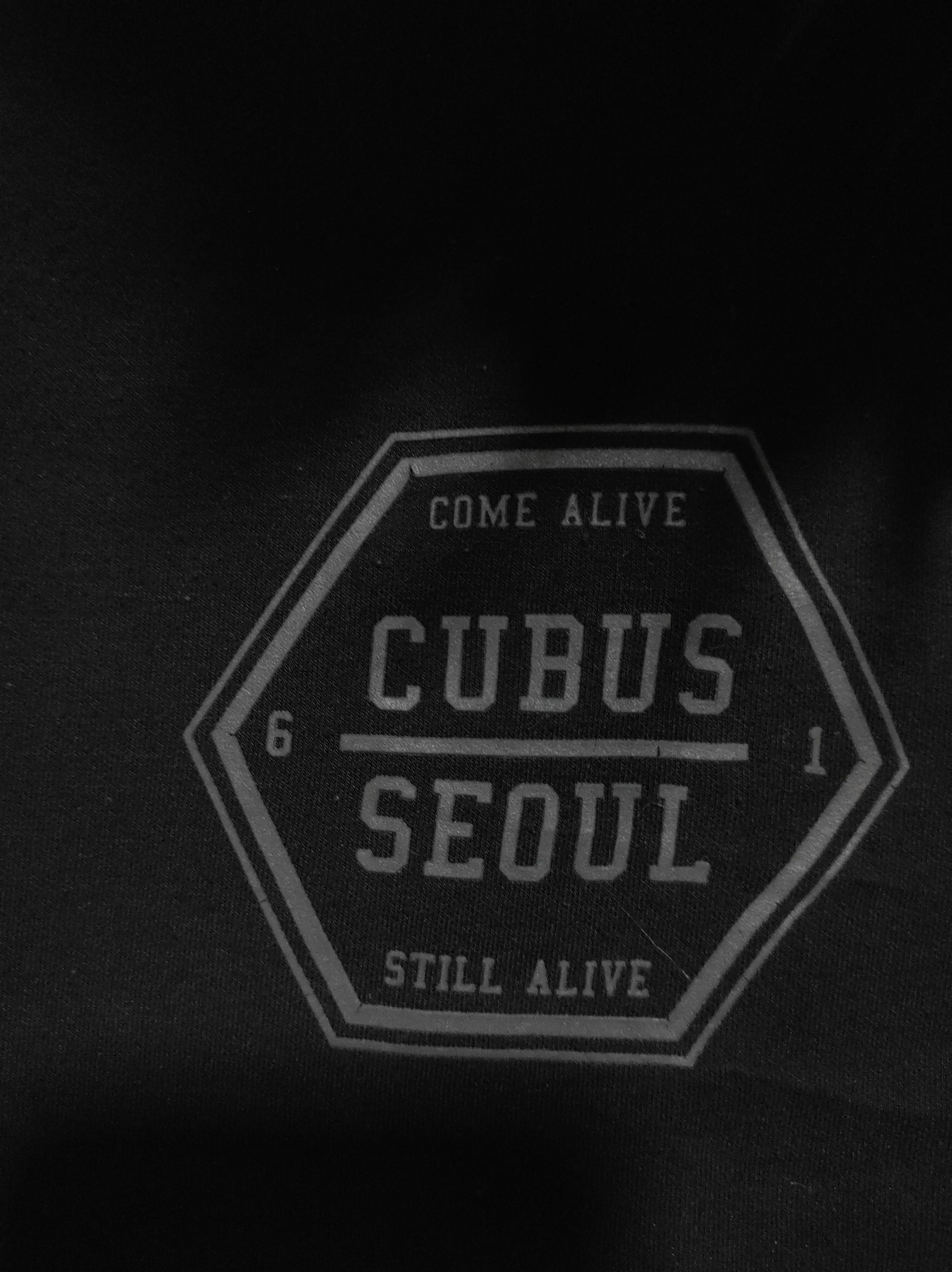 If Six Was Nine Cubus Seoul Zip Fur Hoodie Ifsixwasnine Lgb Style Size US M / EU 48-50 / 2 - 5 Thumbnail
