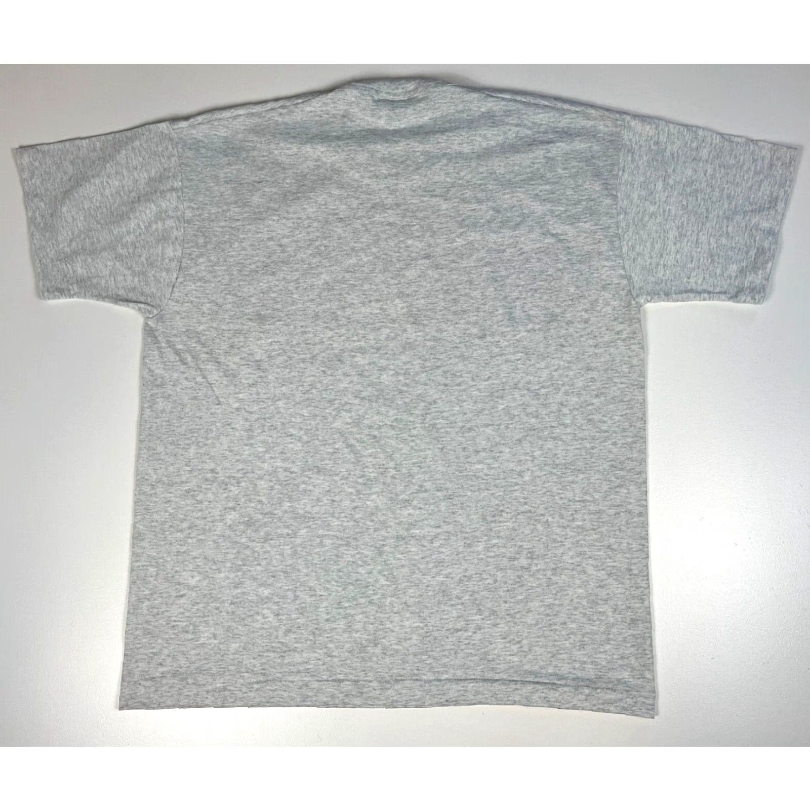 Fruit Of The Loom VINTAGE Fruit of the Loom T-Shirt Men XL Gray 90s Rainbow Lifeguard Aquarium Products 90s Mens T-Shirt Size US XL / EU 56 / 4 - 2 Thumbnail
