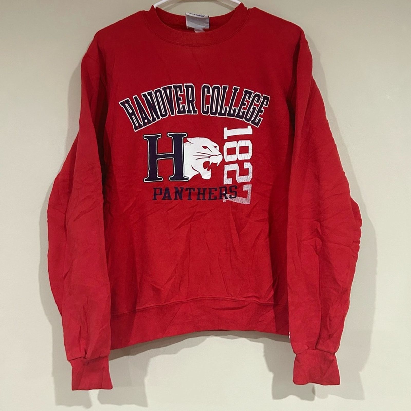 Champion Champion Hanover College Panthers Sweatshirt Size US S / EU 44-46 / 1 - 1 Thumbnail