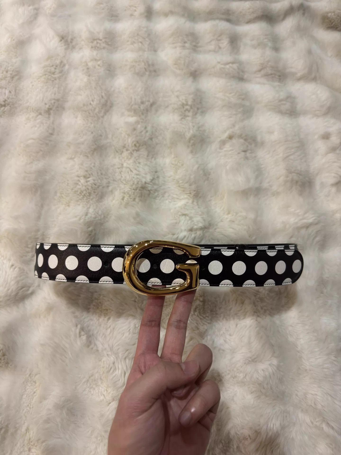 Gucci Gucci Black White Polka Dot Gold Buckle Belt 85 Size ONE SIZE - 2 Thumbnail