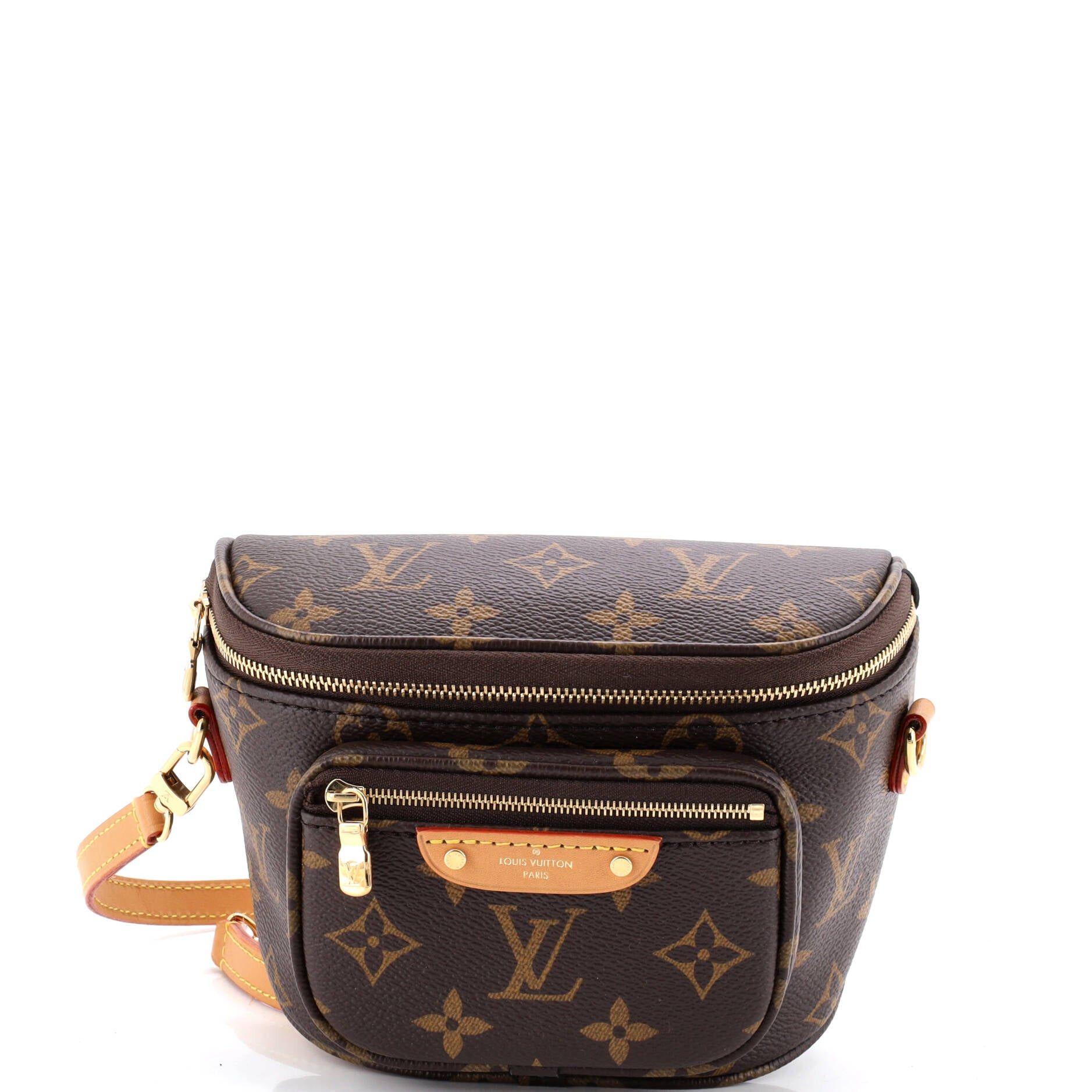 Louis Vuitton Bum Bag Size ONE SIZE - 1 Thumbnail